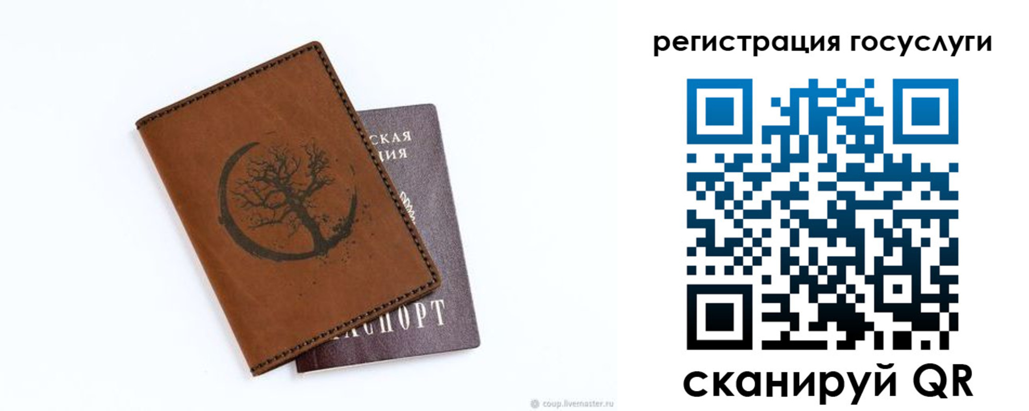 прописка для школы в Камчатском крае