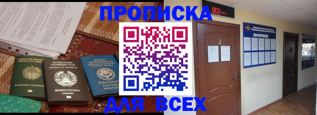 временная регистрация надежно в Камчатском крае